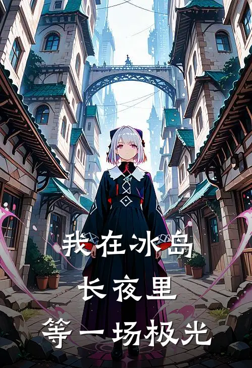 我在冰岛长夜里，等一场极光