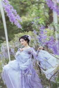 打脸偷我情劫的并蒂白莲莲蕊莲心后续+完结