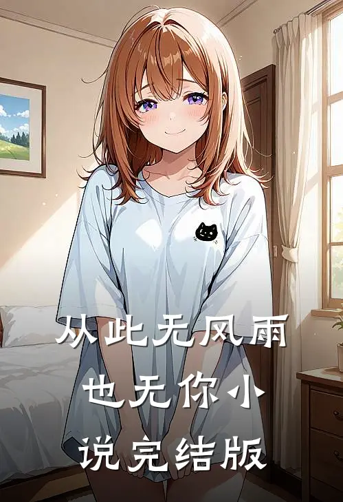 从此无风雨，也无你小说完结版