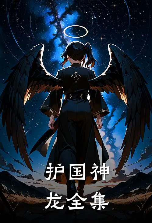 护国神龙全集