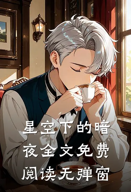 星空下的暗夜全文免费阅读无弹窗