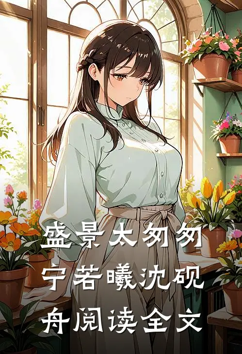 盛景太匆匆宁若曦沈砚舟阅读全文
