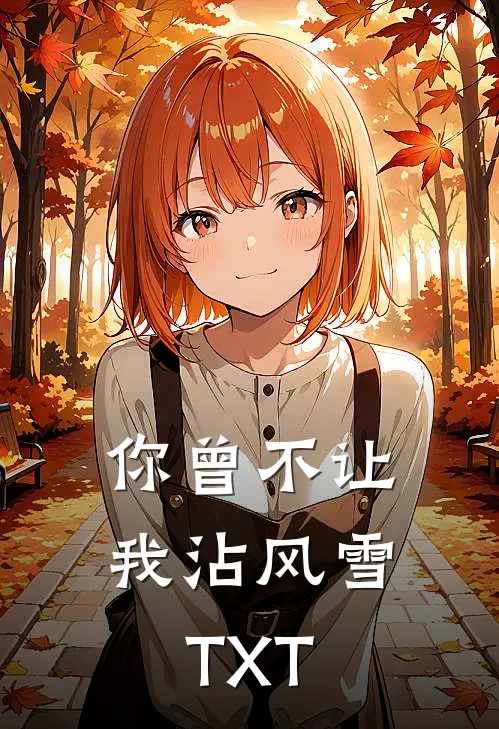 你曾不让我沾风雪TXT