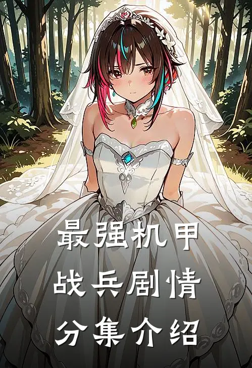 最强机甲战兵剧情分集介绍