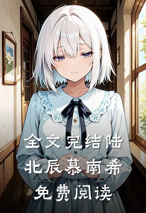 全文完结陆北辰慕南希免费阅读