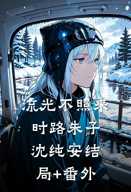 流光不照来时路朱子沈纯安结局+番外