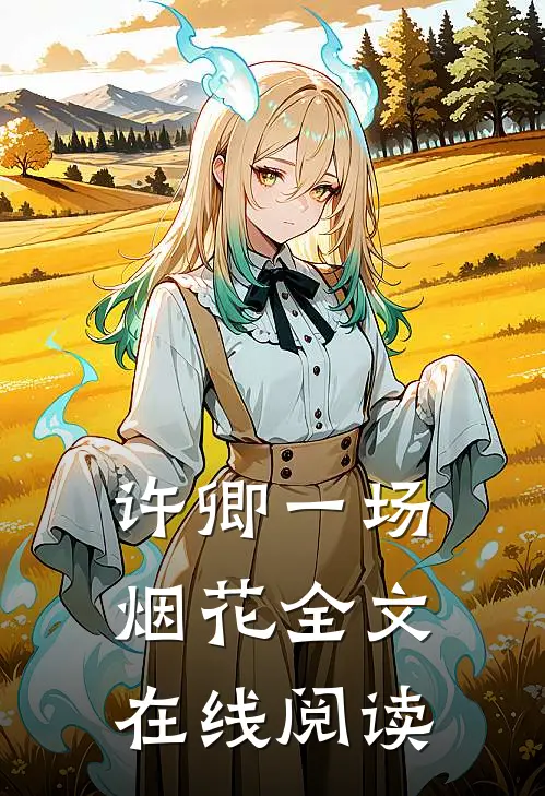 许卿一场烟花全文在线阅读
