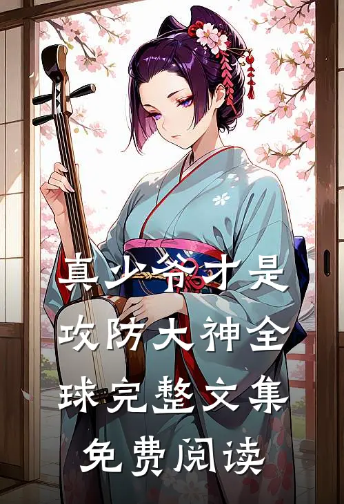 真少爷才是攻防大神全球完整文集免费阅读