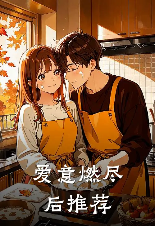 爱意燃尽后推荐