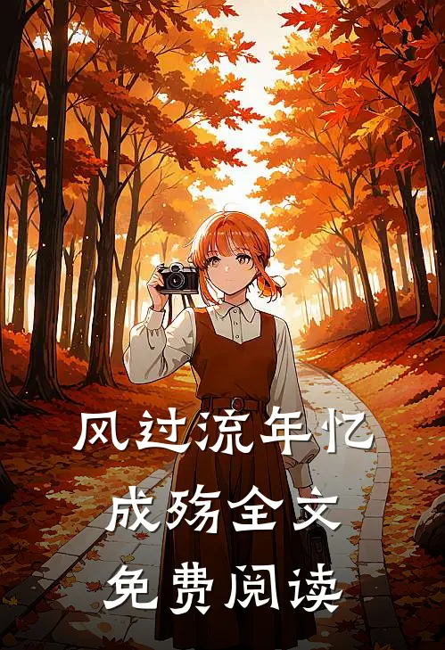 风过流年忆成殇全文免费阅读