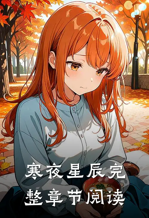 寒夜星辰完整章节阅读