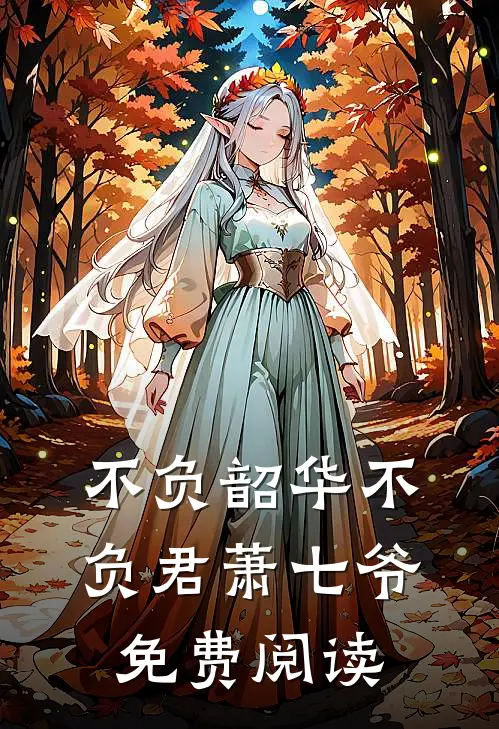 不负韶华不负君萧七爷免费阅读