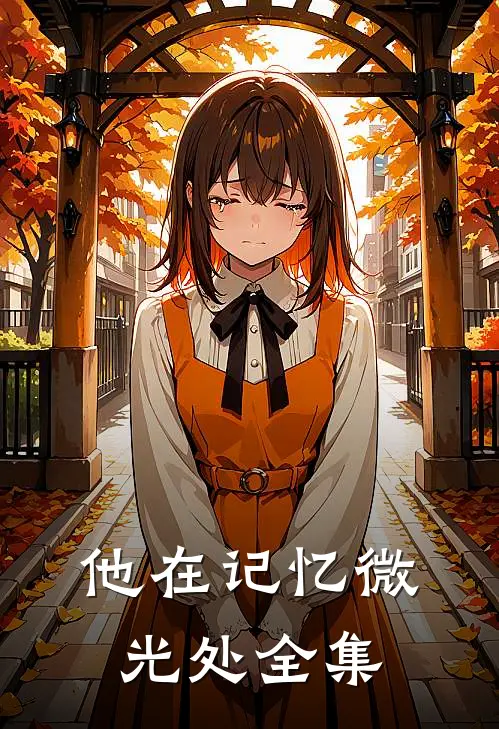 他在记忆微光处全集