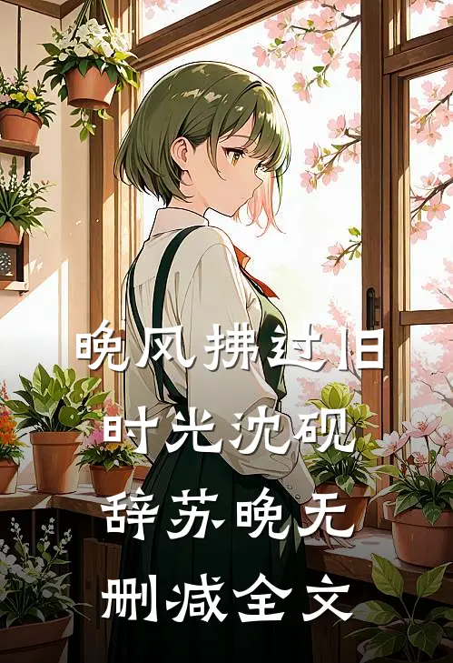 晚风拂过旧时光沈砚辞苏晚无删减全文
