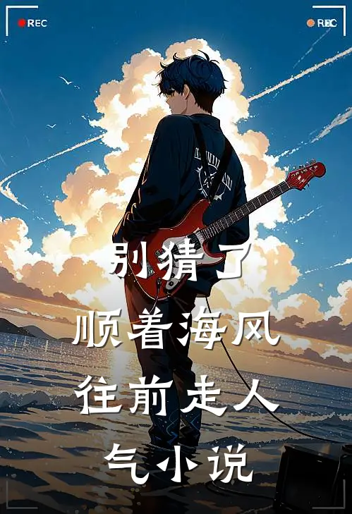 别猜了，顺着海风往前走人气小说