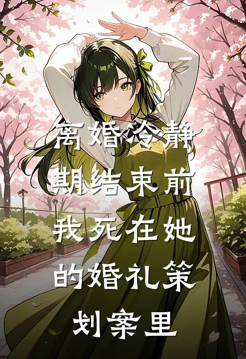 离婚冷静期结束前，我死在她的婚礼策划案里