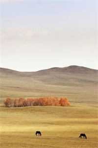 青梅有悲秋症，我把丈夫葬在冬天精彩