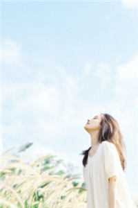 残荷听雨念旧年全球完整文集