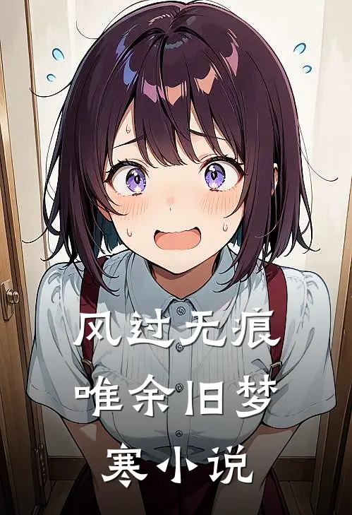 风过无痕,唯余旧梦寒大结局