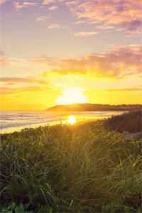 既然不爱，请放手全球完整文集