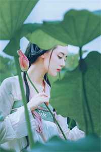 同学会上校霸当众抢我老婆小说全文免费