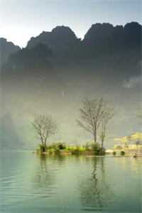 挺着孕肚照顾病重婆婆两个月，她立遗嘱分家产时却没我的份已完结