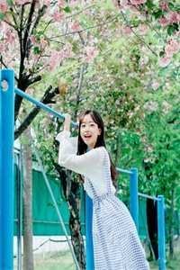 海边的风吹不到雪山顶完整阅读