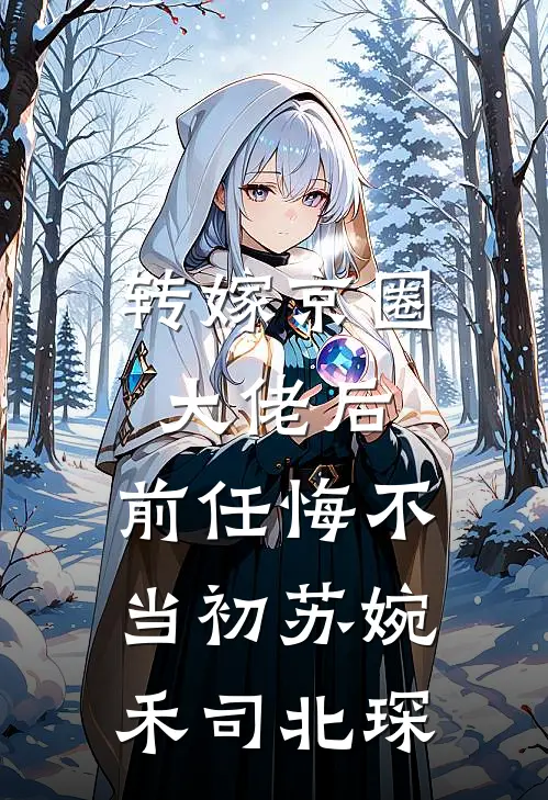 转嫁京圈大佬后，前任悔不当初苏婉禾司北琛