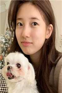 花开花落花归尘全章节阅读