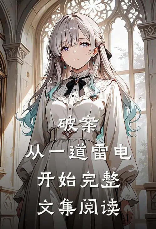 破案：从一道雷电开始完整文集阅读