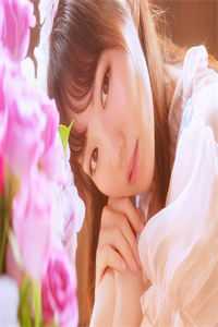 大婚当日九皇子要我给侍女磕头，太子一怒抢亲沈承钰洛瑶后续+完结