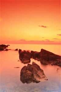 八零把自己上交国家后，渣夫悔哭了结局