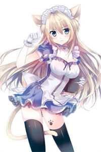 大婚当日九皇子要我给侍女磕头，太子一怒抢亲笔趣阁