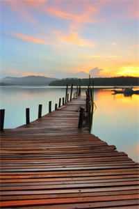 未婚妻悔婚十次后，我成了女霸总的心尖宠爆款宝藏