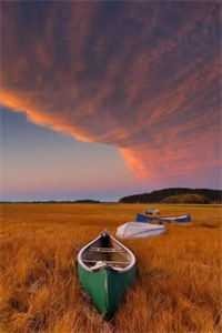 七零拒给婆婆拆弹后，去陪青梅的老公疯了好书