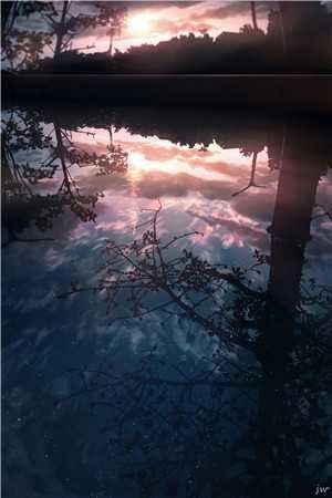 帮公司赚了十个亿后，我被女总裁调去扫厕所完整文集阅读