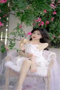 西风暮雪埋旧约最新热门小说