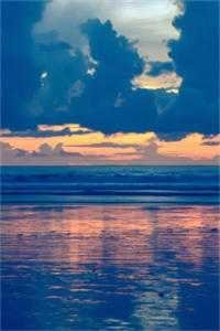 买蚝油忘找两毛钱，儿子儿媳网曝我贪污优质全文阅读