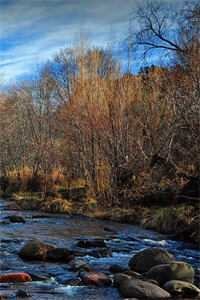 穿越后我摇身一变成太后高质量好文