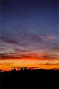 你似雪青郎君，我非杏花新娘全球完整文集