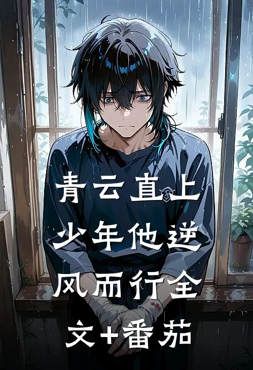 青云直上：少年他逆风而行全文+番茄