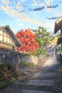 情深已迟暮前文+