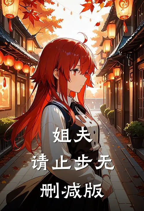 姐夫,请止步无删减版在线观看