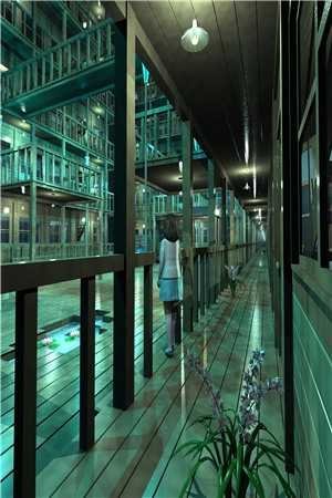 我收到儿子和妻子助理的亲子鉴定书结局