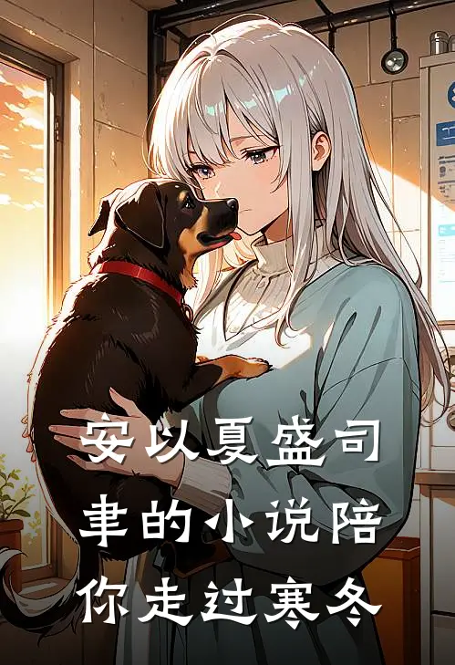 安以夏盛司聿的小说陪你走过寒冬