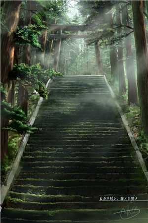 丁克六年后，我离婚了时慕辰宁玉后续+完结